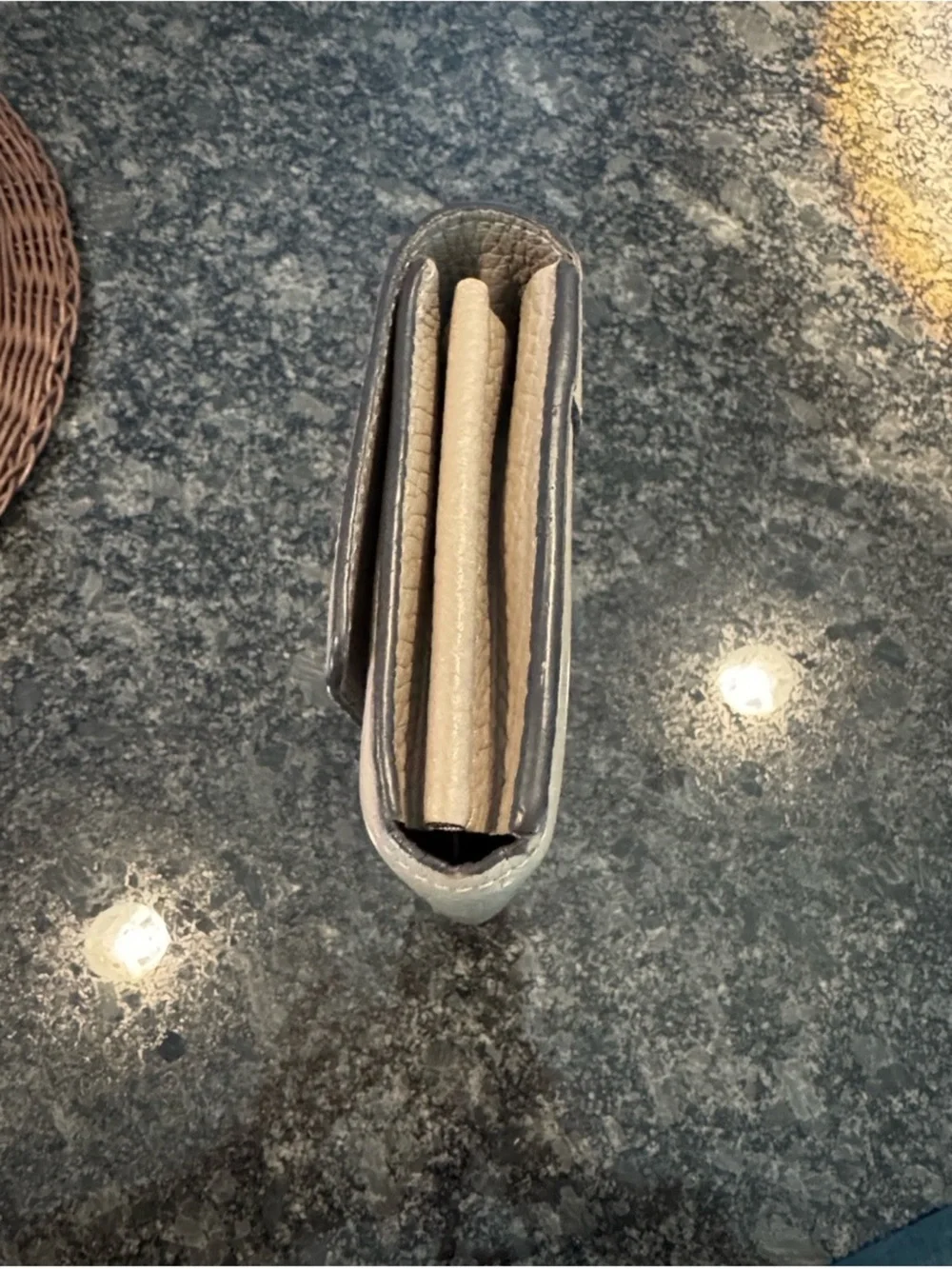 Louis Vuitton Taupe Cappucines Leather Wallet with Gold LV Emblem